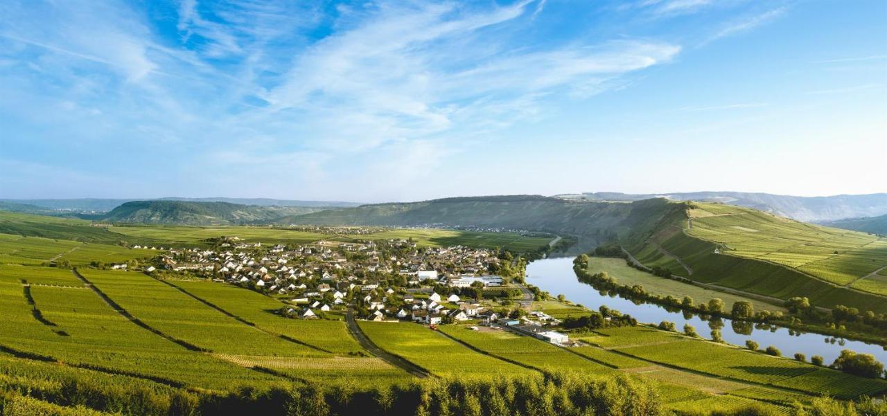 Ferienweingut Ulrike Thul Daire Leiwen Dış mekan fotoğraf
