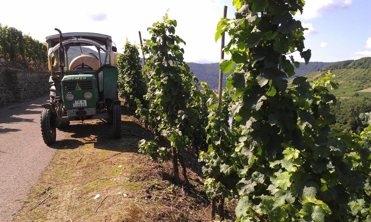 Ferienweingut Ulrike Thul Daire Leiwen Dış mekan fotoğraf
