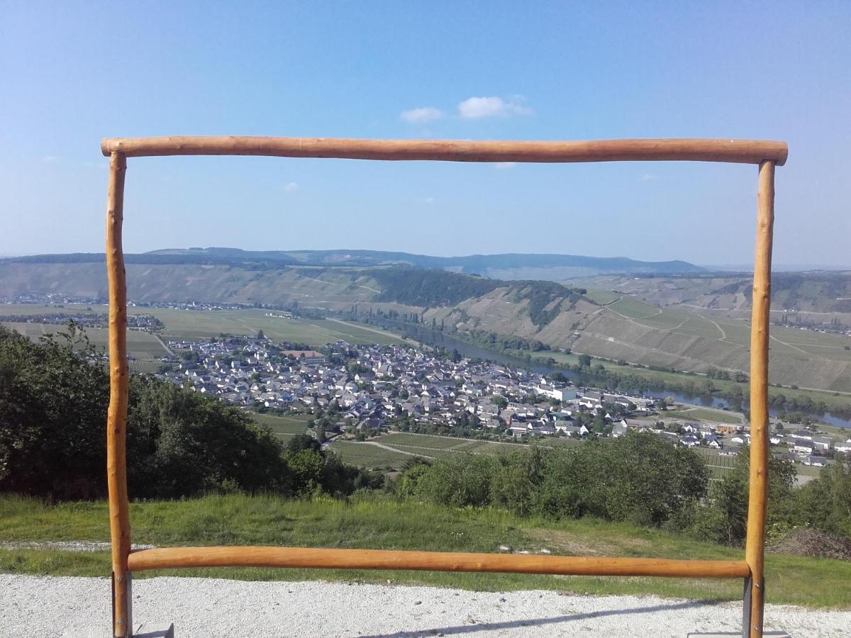 Ferienweingut Ulrike Thul Daire Leiwen Dış mekan fotoğraf