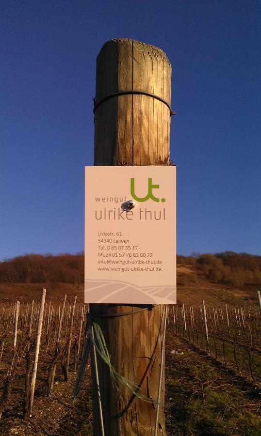 Ferienweingut Ulrike Thul Daire Leiwen Dış mekan fotoğraf